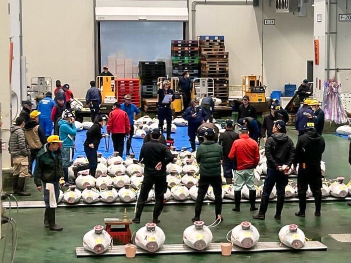 See the tuna auction on a Toyosu Market tour