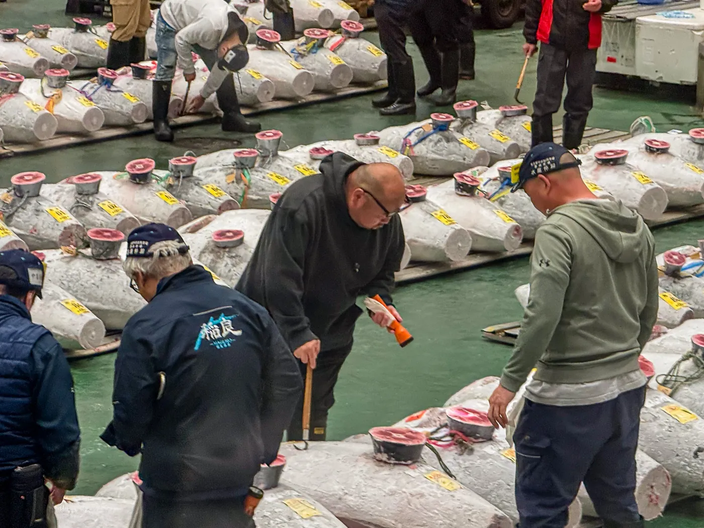 Tuna buyers inspecting frozen bluefin on the auction floor at Toyosu Market