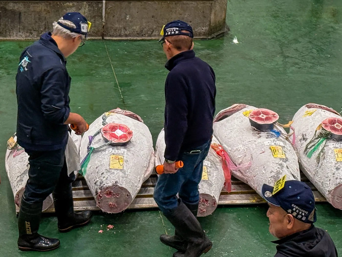 Buyers inspecting tuna at Toyosu Market