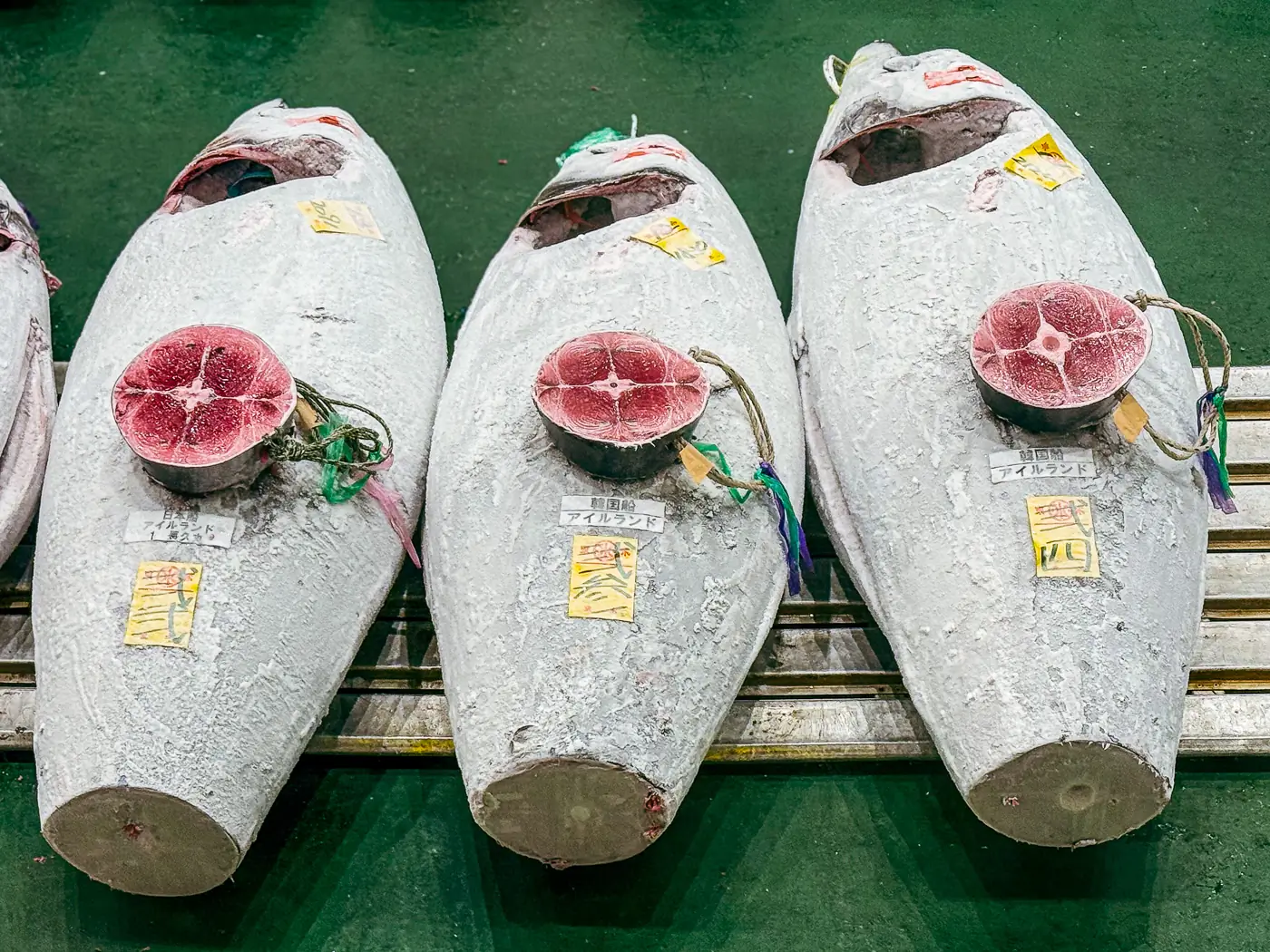 Frozen tuna at Toyosu Market auction caught off Ireland