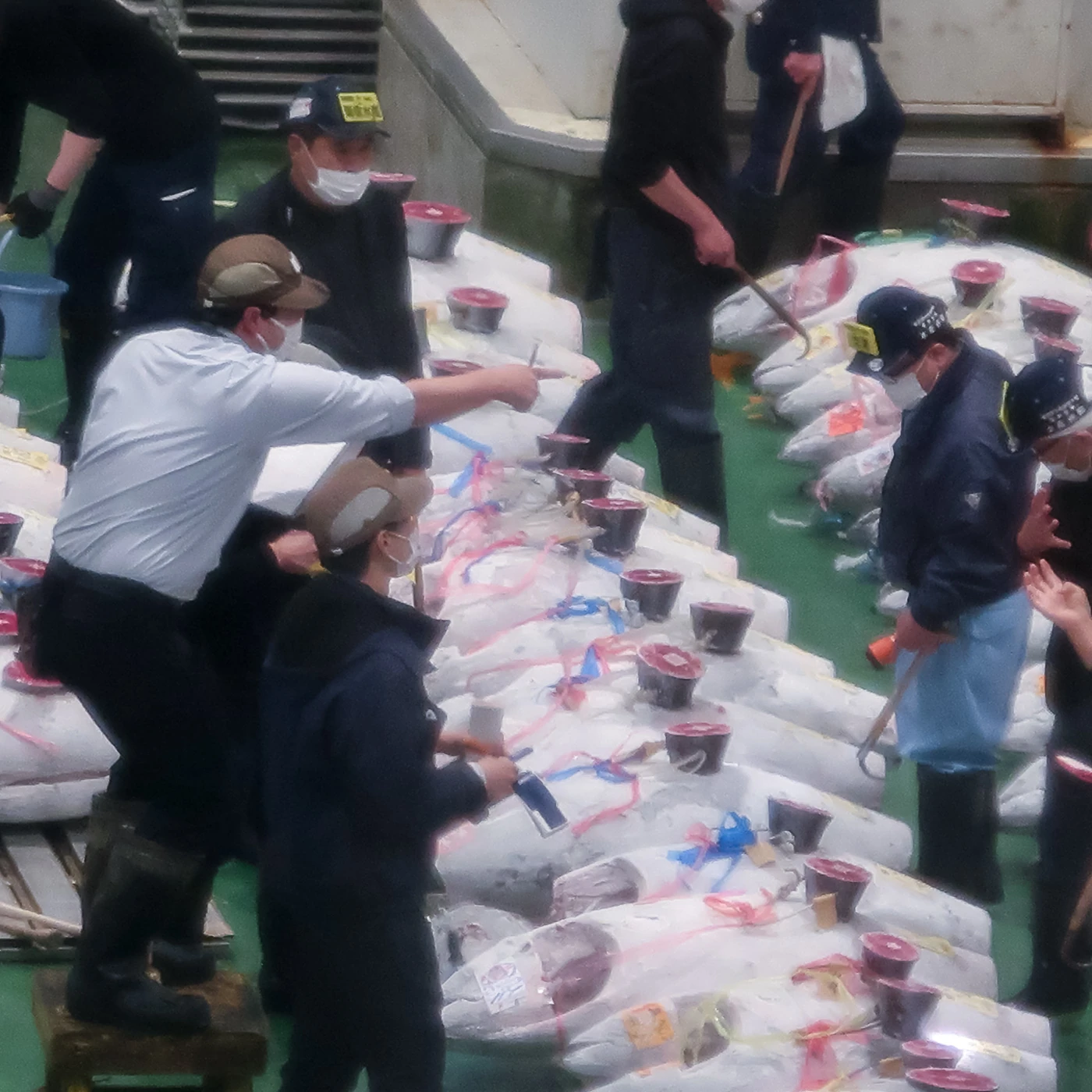 Auctioneer taking bids and buyers signalling at Toyosu tuna auction