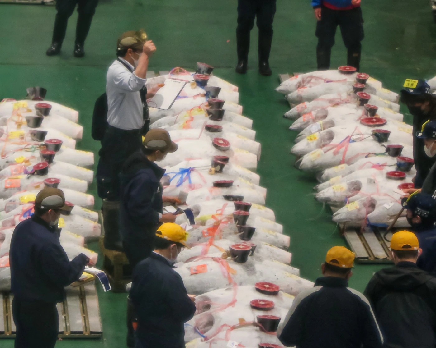 Auctioneer ringing a bell to start a tuna auction at Tokyo's Toyosu Market