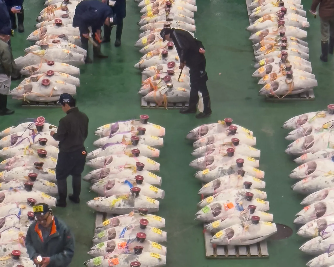 the public viewing windows