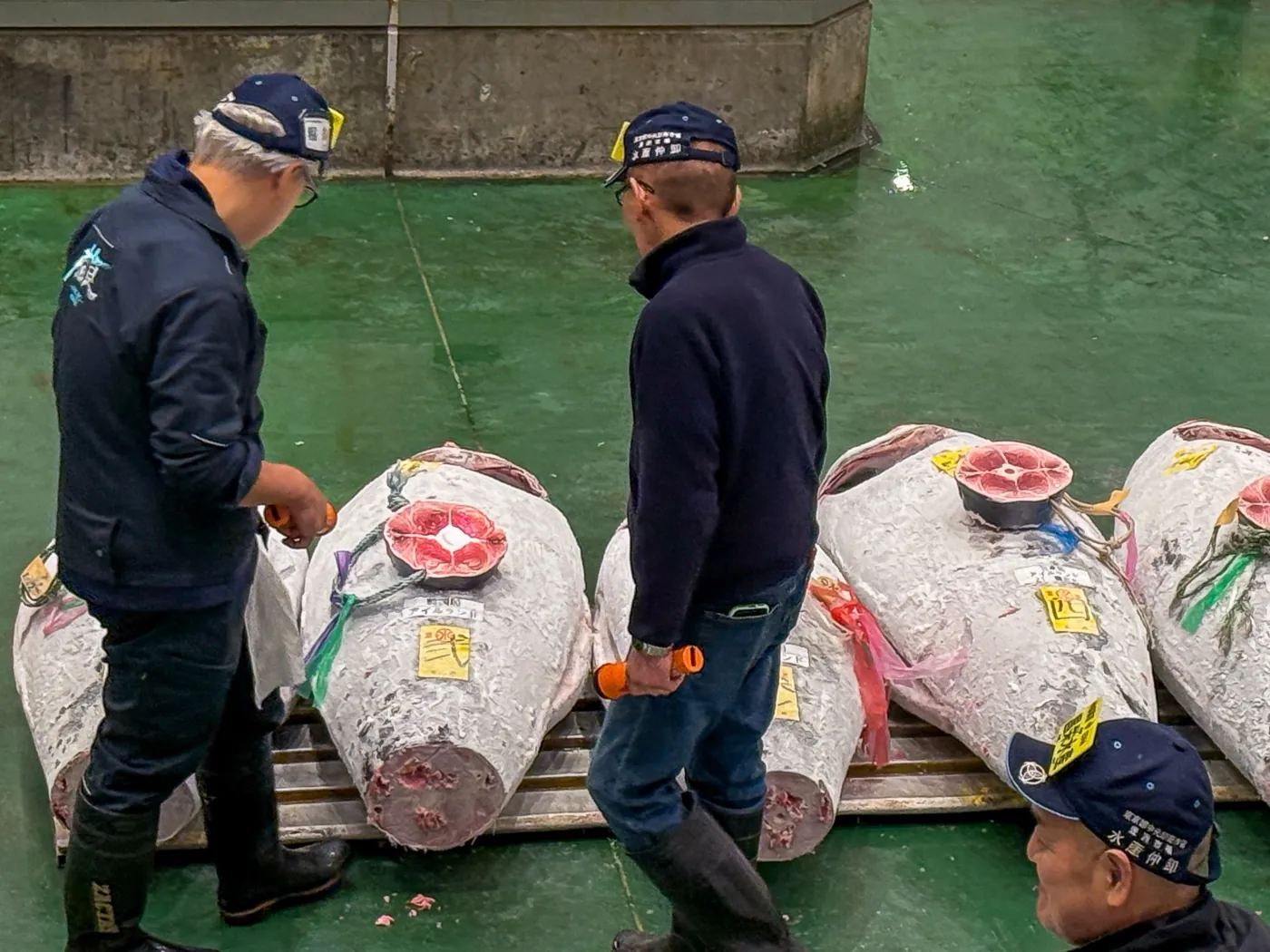 Buyers inspect tuna at Toyosu Market's auction in Tokyo