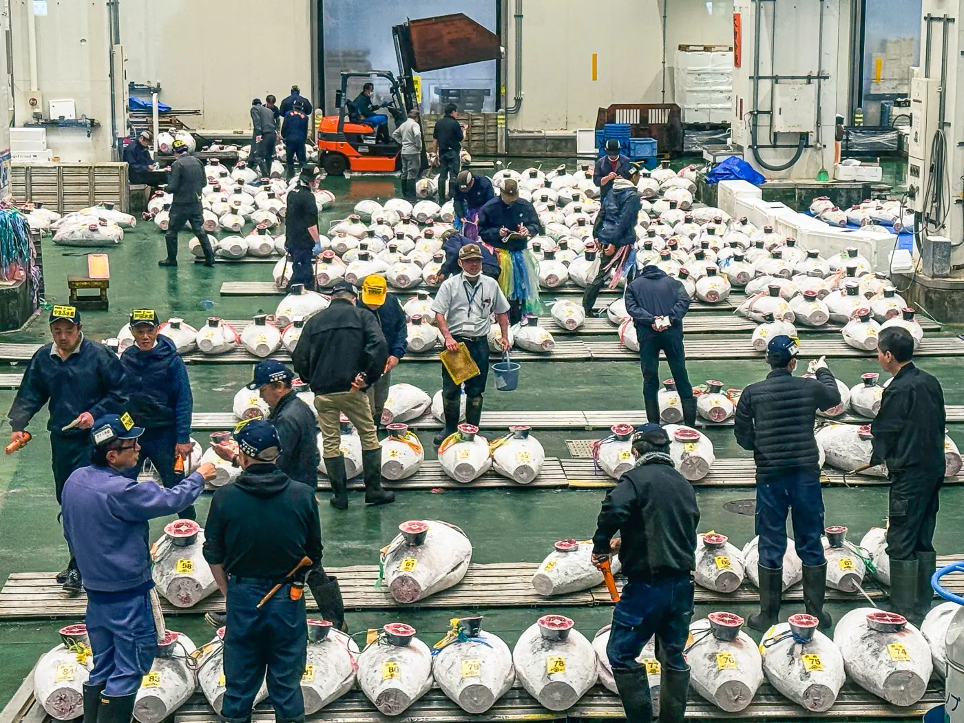 Busy scene at Toyosu tuna auction from the observation deck