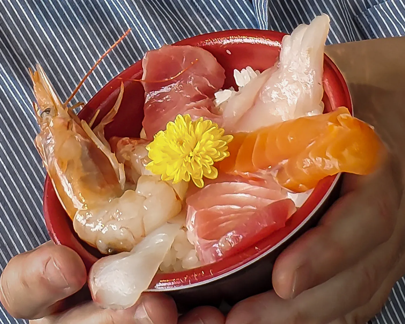 Kaisendon seafood bowl on my Tsukiji food tour in Tokyo