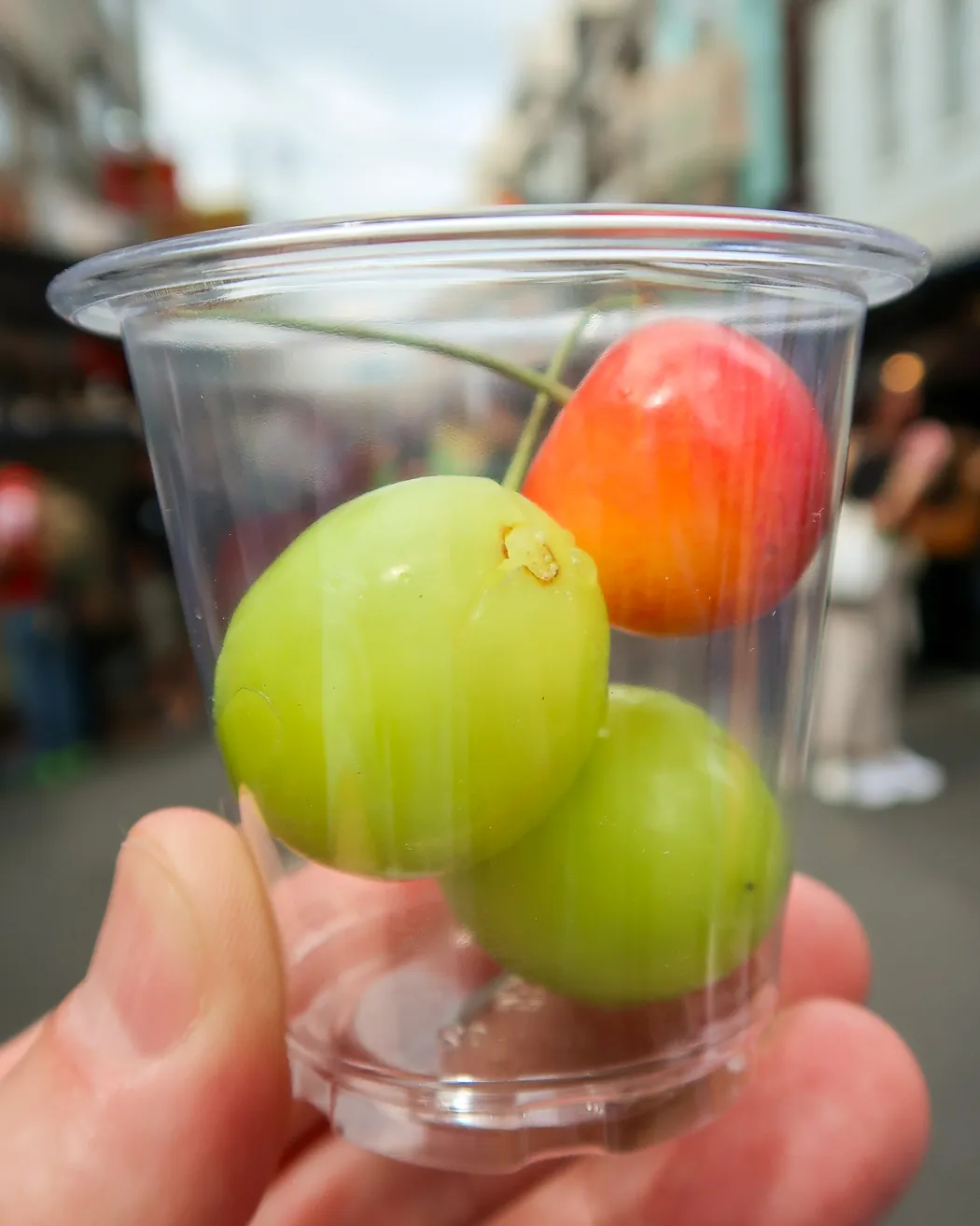 Premium Japanese cherries and grapes sampled on my Tsukiji food tour